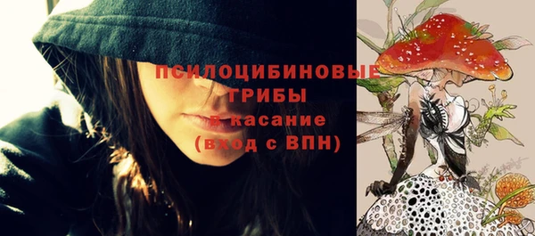 молекула духа Армянск