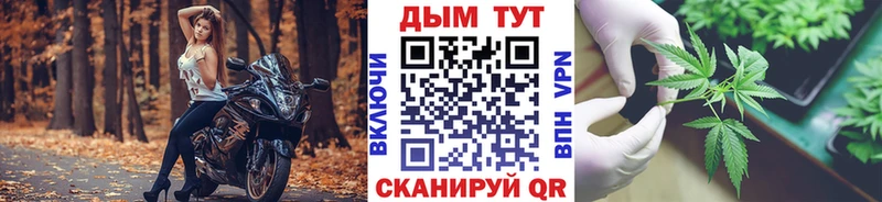 нарко площадка наркотические препараты  купить наркотики цена  Сысерть  Канабис конопля 
